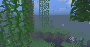 Bloom Entity