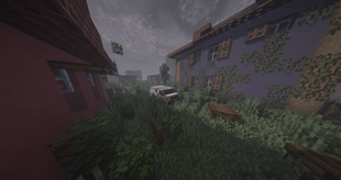 image-6-compressed.jpg