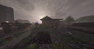 image-7-compressed.jpg