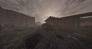 image-8-compressed.jpg