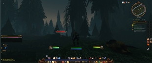 immersion-1-combat.jpg