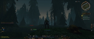 immersion-2-dimmed.jpg