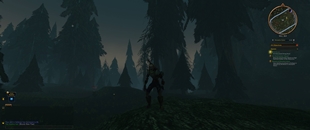 immersion-3-faded.jpg