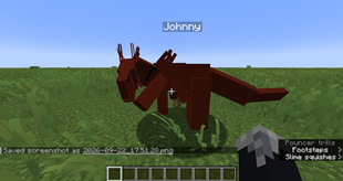 Johnny, the first pouncer