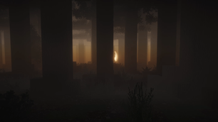 Creepy Forest