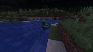 Drowned With Totems