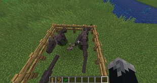 Pouncelets