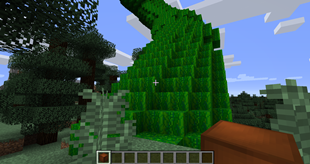 Beanstalk1