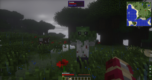 HUD