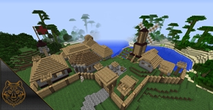 Village