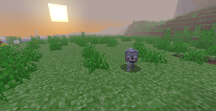 Herobrine Wolf