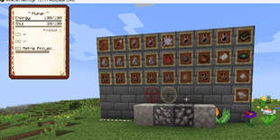 Items and upper hud
