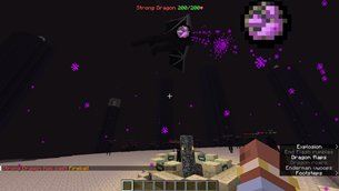 Dragon Fight