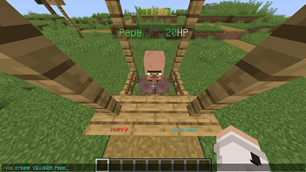 Create Vanilla NPC