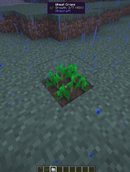 image-attachment_b9e0d9f0-8413-4165-aca7-fcd9bcd1d85e.png