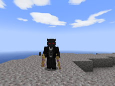 Dual Wielding Ender Blaster