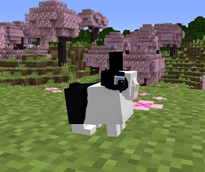 Dutch Rabbit.png