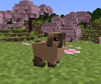 HollandLop.png