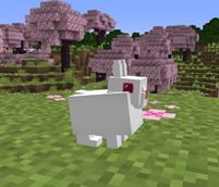 image-attachment_2115d8b9-3dab-4dbc-bf91-d223bf4fb4d3.png