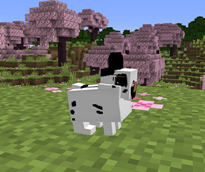 image-attachment_c4c08ec7-b828-418e-b5f9-053dac4e0ff3.png