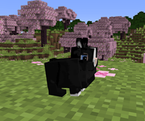 image-attachment_84538c11-9981-42ab-b496-59b24d8a77c4.png
