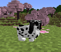 image-attachment_600f31cd-aab0-44c7-b2b2-55d0906f0395.png