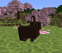 image-attachment_874b77ed-5450-4b36-9e02-43d1b2813a89.png