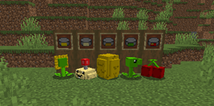 The Plants so far...