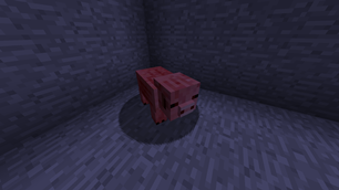 image-attachment_cb56627f-0ef2-4783-97d2-d46cf0e42ac6.png