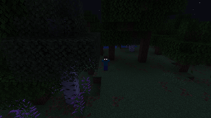 09-natural-forest-night.png