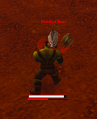 In Combat