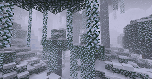 jungle.png