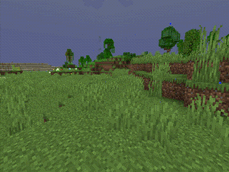 minecraft_-1 (1).gif