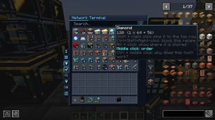 The Network Terminal