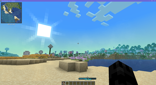 beach (1).png