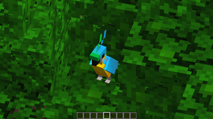 Zoomed into a parrot