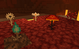Nether