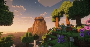 Flower Filled Vistas
