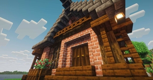 Make your starter house as fancy as you dream!