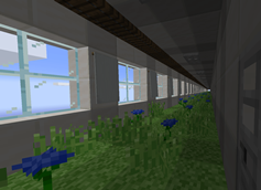 Overgrowth