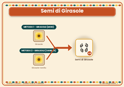 semidigirasole_1.png