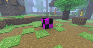 Missing Block