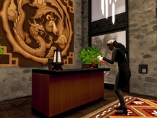 Screenshot 12