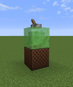 Disable Slime Chunks