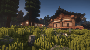 Forest villages