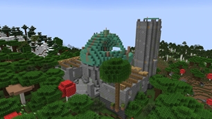 07-forest-reclaimed.jpg