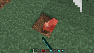 Click on the block to insert the copied entity.