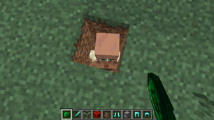 Example: We copied the villager with armor...