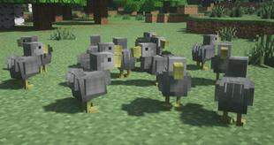 Dodos.png