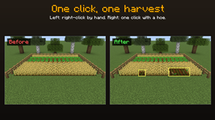 1_field.png